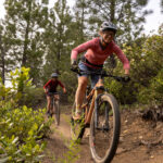 Bicycles for Sale with Fast Shipping Europe