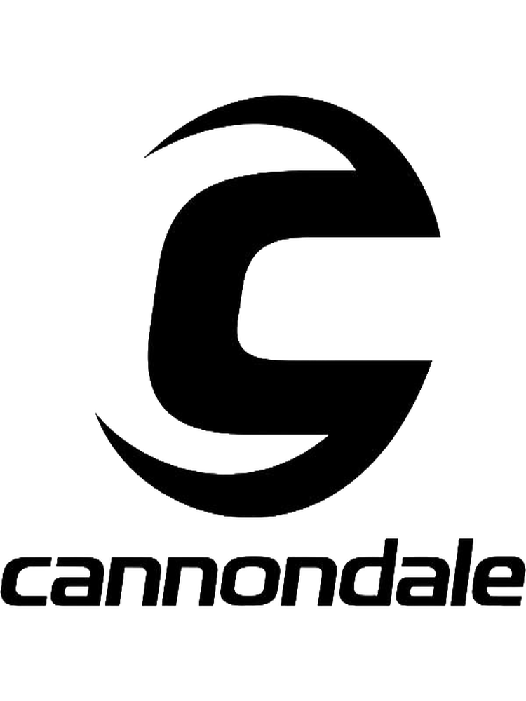 Affordable Bicycles For Sale in Europe